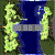 gef_fild07