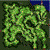 pay_fild01