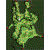 pay_fild02