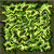 prt_fild02