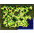 prt_fild03