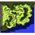 prt_fild06