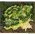 prt_fild10