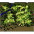 prt_fild11