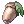 Unripe_Acorn